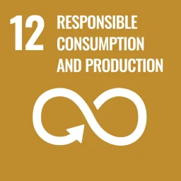 Sustainable Development Goal 12 - Responsible Consumption